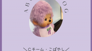 SNS実践を振り返って（Ｃチーム・小林）